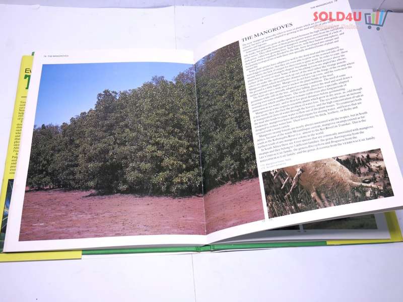 Everyone`s Guide to Trees of South Africa  by Keith Coates Palgrave, Meg Palgrave, Paul Palgrave