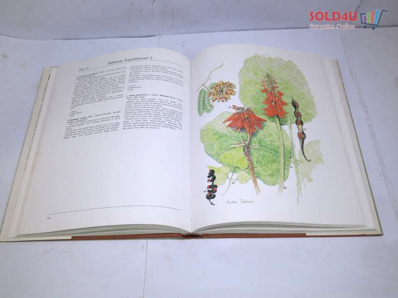 TRANSVAAL WILD FLOWERS PAINTINGS BY ANITA FABIAN TEXT BY GERRIT GERMISHUIZEN