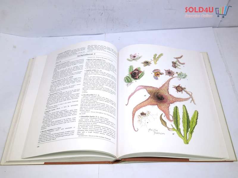 TRANSVAAL WILD FLOWERS PAINTINGS BY ANITA FABIAN TEXT BY GERRIT GERMISHUIZEN