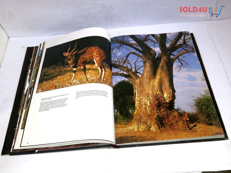 The lions and elephants of the Chobe, Botswana`s untamed wilderness by Bruce Aiken