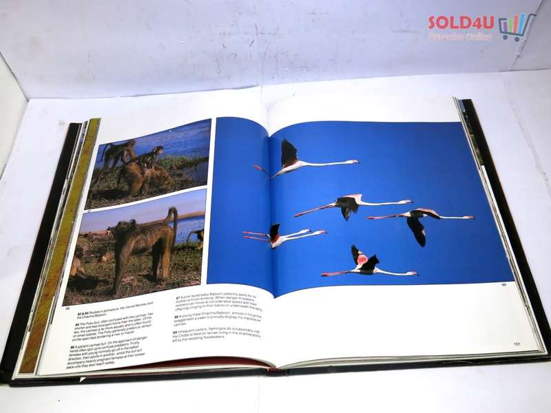 The lions and elephants of the Chobe, Botswana`s untamed wilderness by Bruce Aiken
