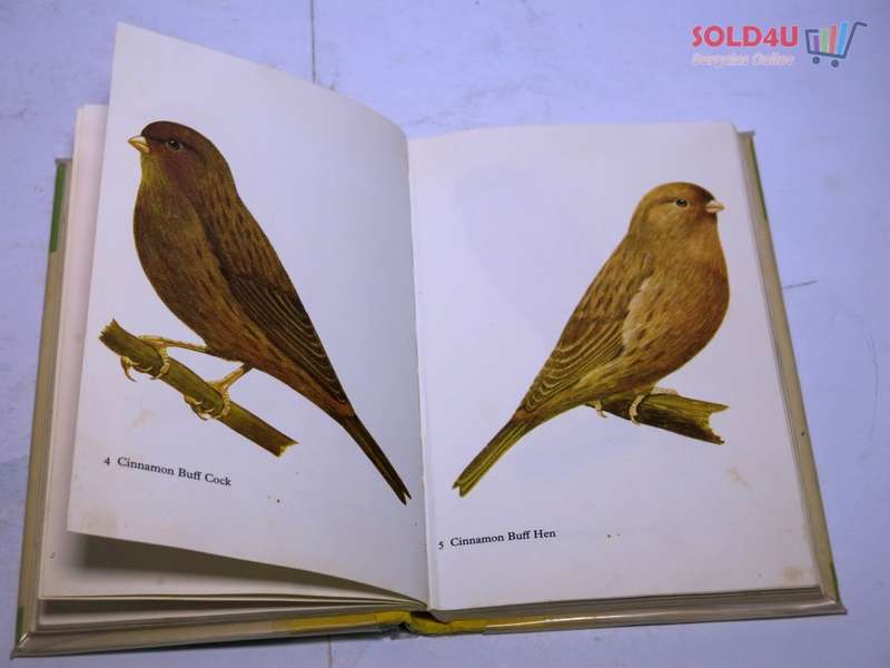 Canaries in Color: Lynch, George
