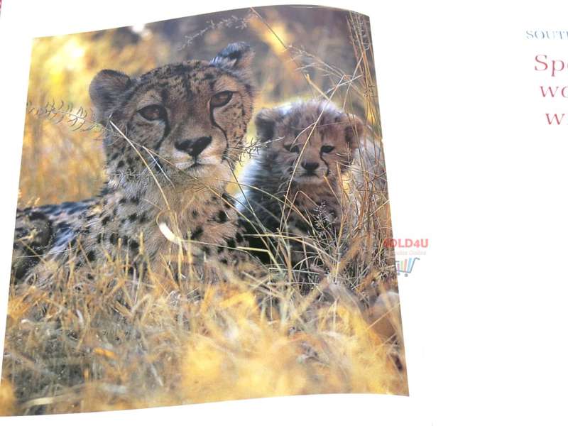 Southern Africa: Spectacular World of Wildlife by Reader`s Digest