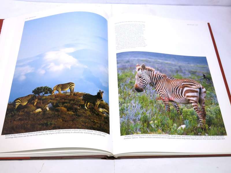 Southern Africa: Spectacular World of Wildlife by Reader`s Digest