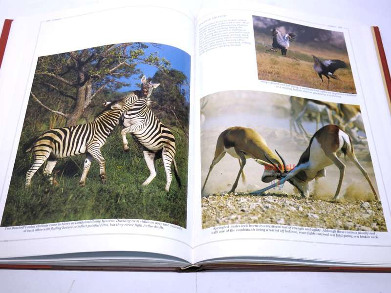 Southern Africa: Spectacular World of Wildlife by Reader`s Digest