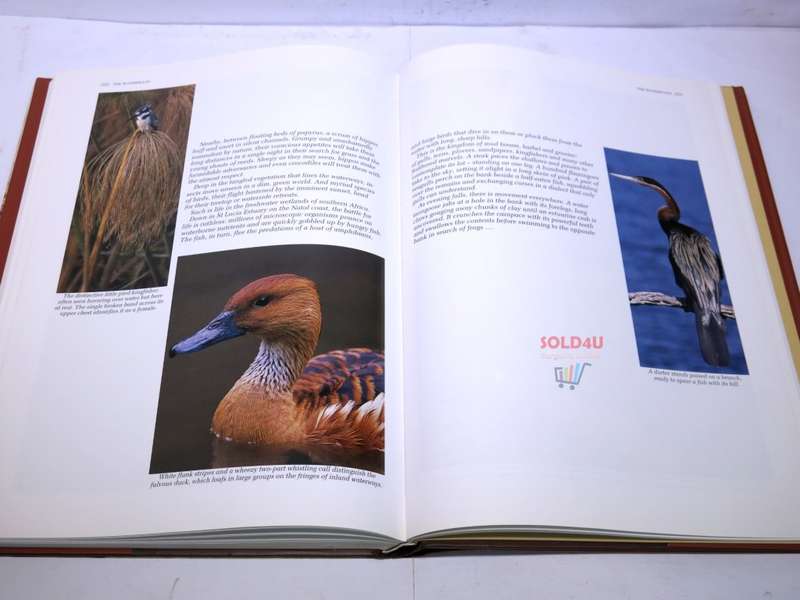Southern Africa: Spectacular World of Wildlife by Reader`s Digest