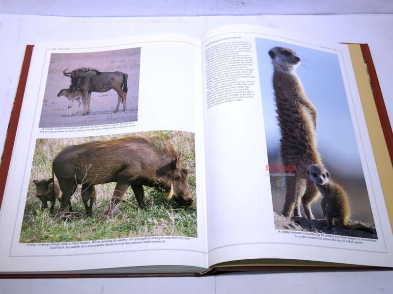 Southern Africa: Spectacular World of Wildlife by Reader`s Digest