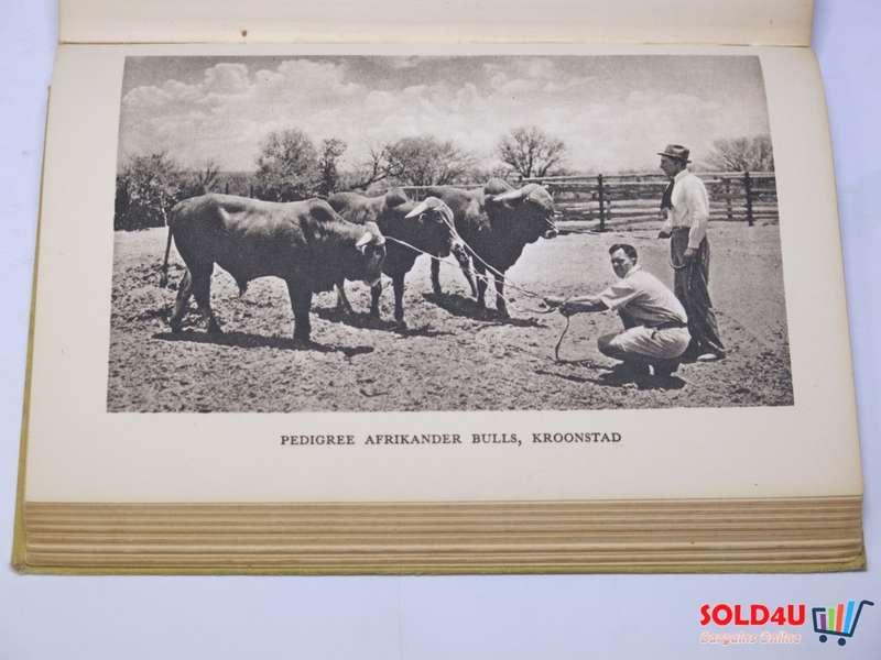 In Search of South Africa  H.V.Morton- 1948