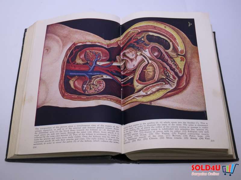 The Encyclopædia of Sex Practice | Norman Haire