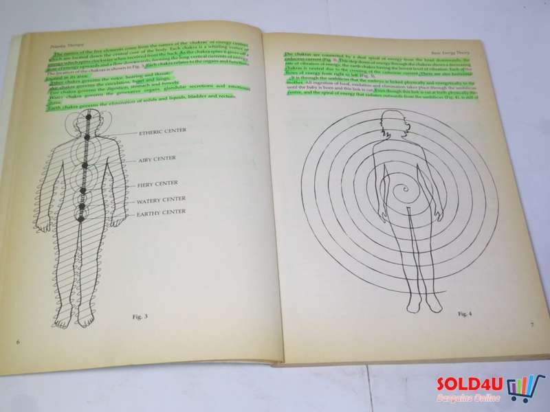 Polarity Therapy - The Power that heals - Alan Siegel
