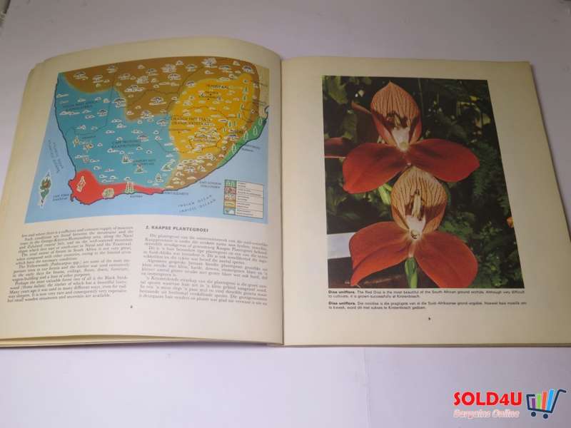 Our Flower Paradise - Ons Blommeparadys - H.B.Rycroft