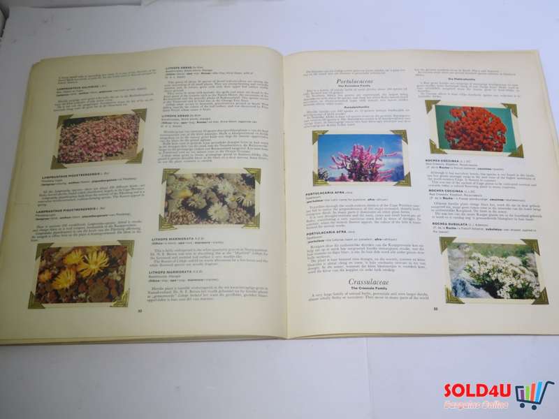Our Flower Paradise - Ons Blommeparadys - H.B.Rycroft