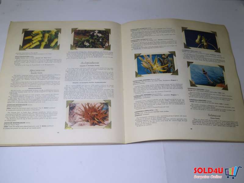 Our Flower Paradise - Ons Blommeparadys - H.B.Rycroft