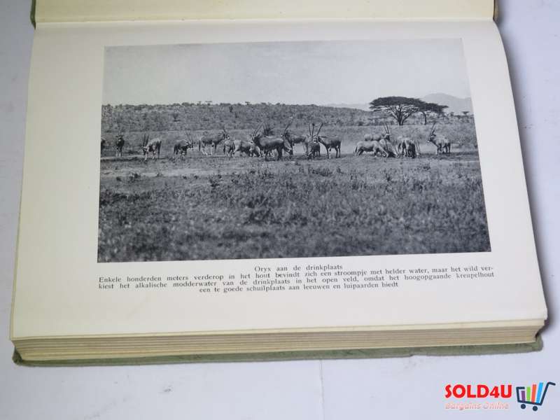Safari - Film-Jacht Op Groot wild in Midden Afrika - Martin Johnson