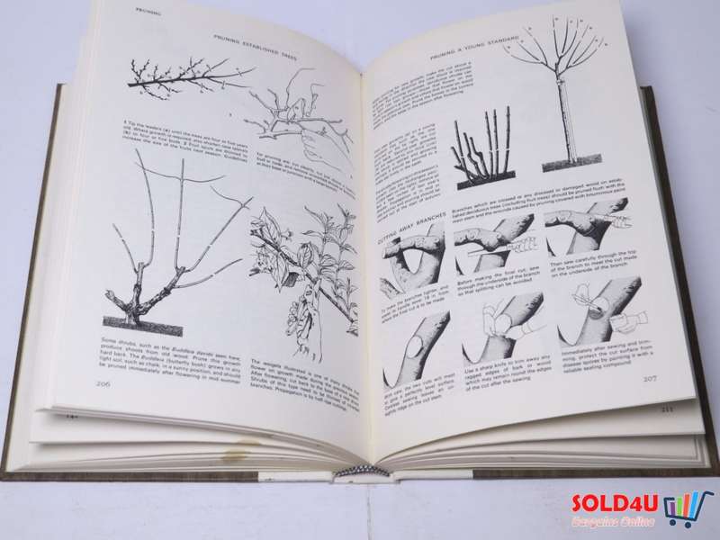 Complete guide to Gardening in South Africa