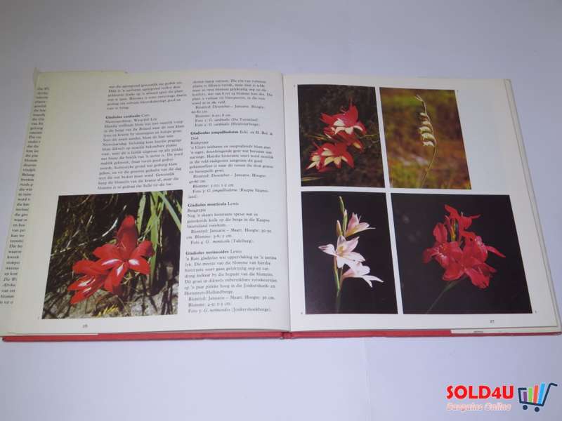 Die Wintergroeiende Gladioli Van Suid-Afrika - G.R.Delpierre & N.M.Du Plessis