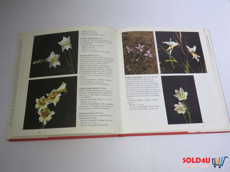 Die Wintergroeiende Gladioli Van Suid-Afrika - G.R.Delpierre & N.M.Du Plessis