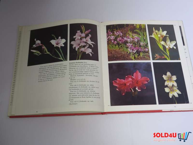Die Wintergroeiende Gladioli Van Suid-Afrika - G.R.Delpierre & N.M.Du Plessis