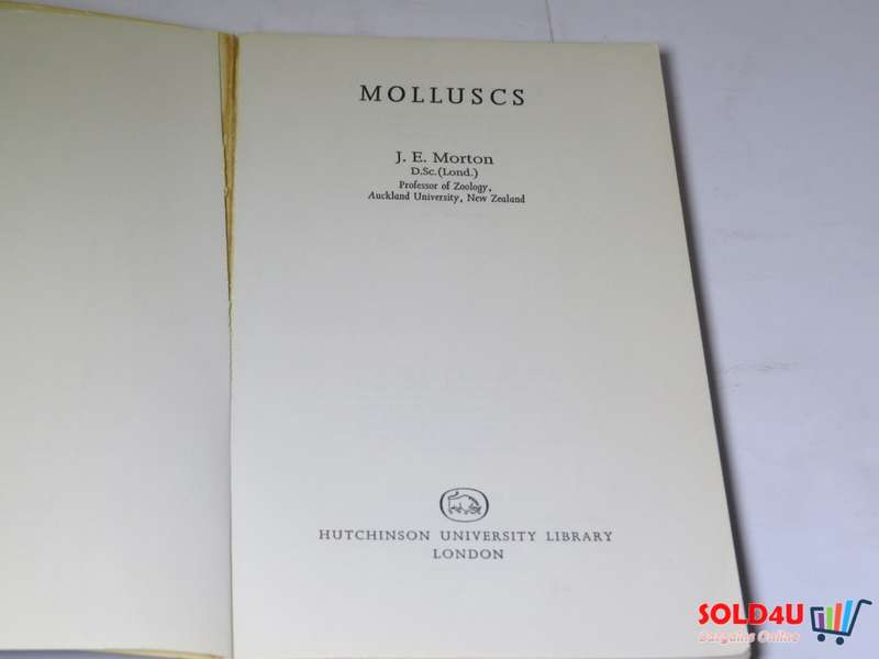 Molluscs by J.E.Morton