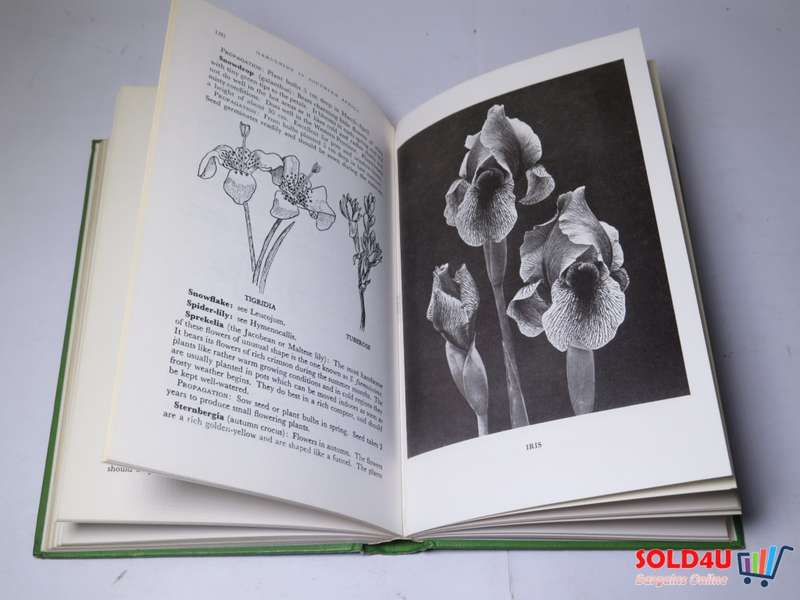 Gardening in Southern Africa - The Flower Garden - Una Van der Spuy