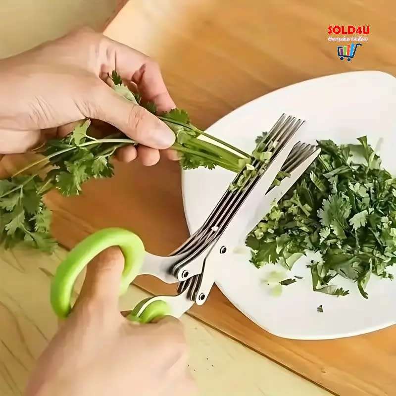 5-Layer Stainless Steel Herb Scissors Set