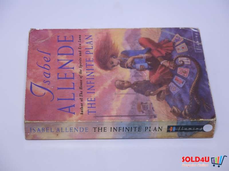 The Infinite Plan - Isabel Allende