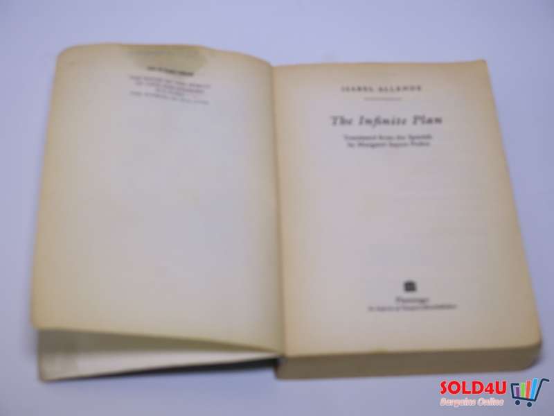 The Infinite Plan - Isabel Allende