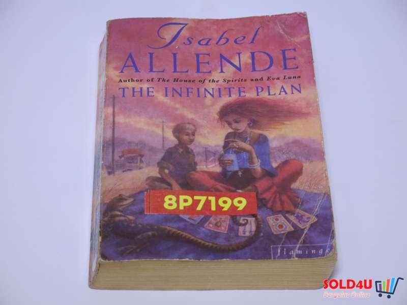 The Infinite Plan - Isabel Allende