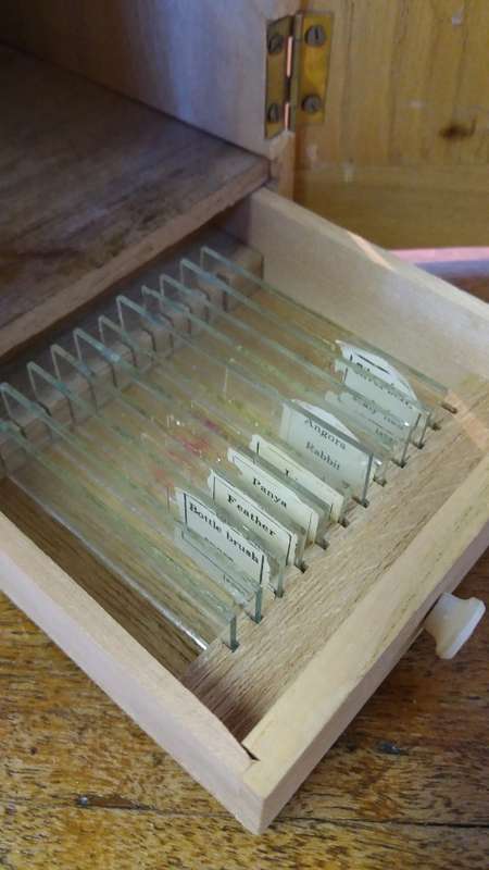 Vintage Microscope in Wooden Box