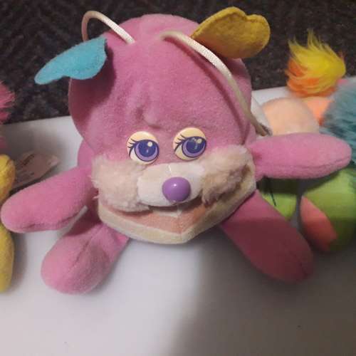 Popples