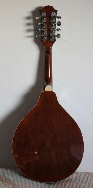 Mandolin by Samick