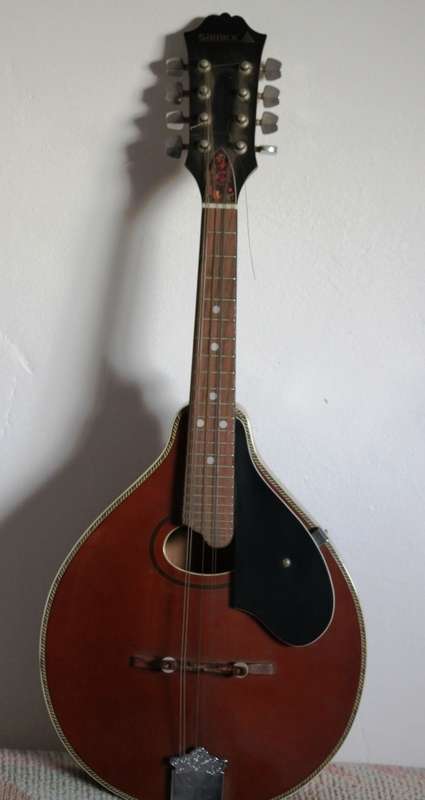 Mandolin by Samick