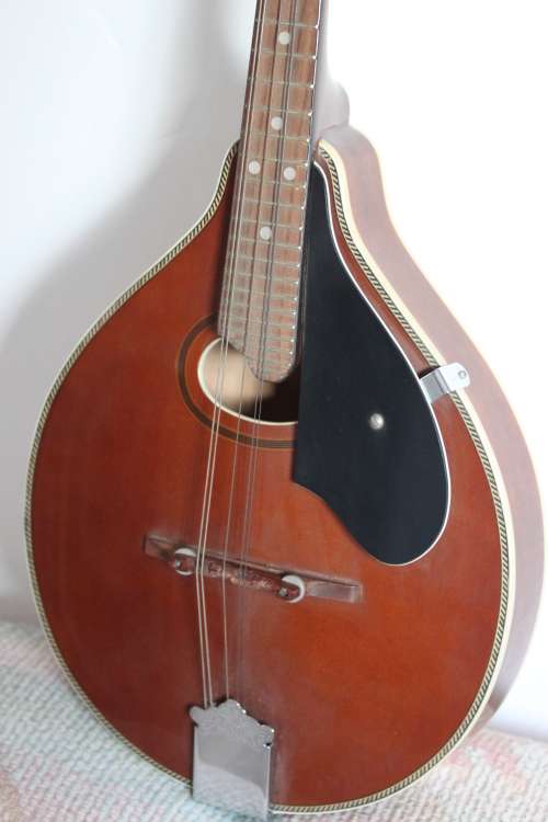 Mandolin by Samick