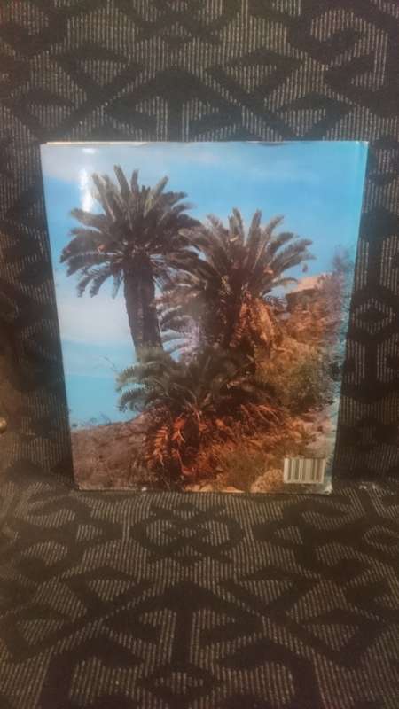 Cycads of South Africa - Cynthia Giddy