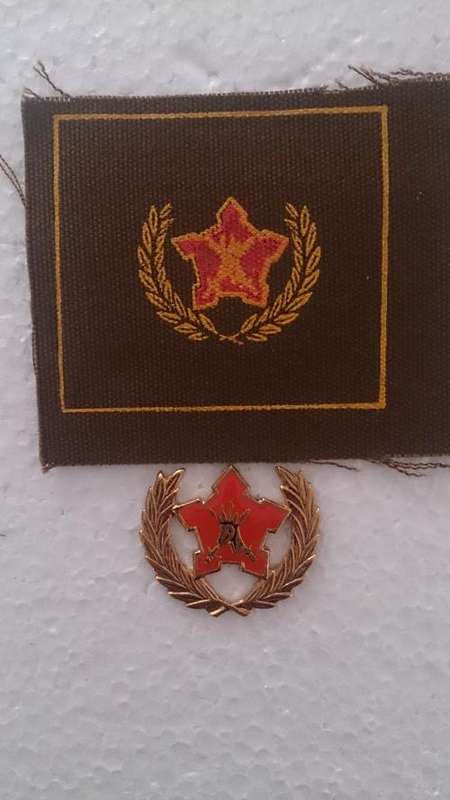 5 Year Voluntary Metal and cloth badge