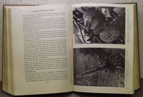 REDUCED TO HALF PRICE - THE WORLD WAS MY GARDEN  - DAVID FAIRCHILD - SIGNED - from SUEZYT