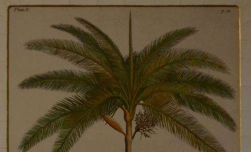 RESERVED FOR JCB2 -PRINT OF A PLATE DEDICATED TO HR HIGHNESS FREDERICK PRINCE OF WALES - from SUEZYT