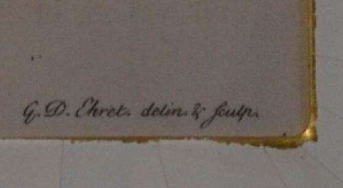 RESERVED FOR JCB2 -PRINT OF A PLATE DEDICATED TO HR HIGHNESS FREDERICK PRINCE OF WALES - from SUEZYT