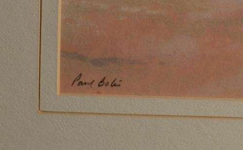 PAUL BOTES FRAMED WATERCOLOUR   - SEAGULLS - from SUEZYT