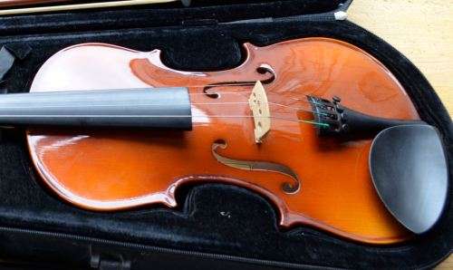 VIOLIN 4/4 from SUEZYT