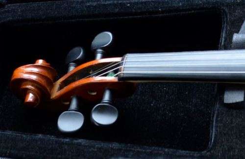 VIOLIN 4/4 from SUEZYT