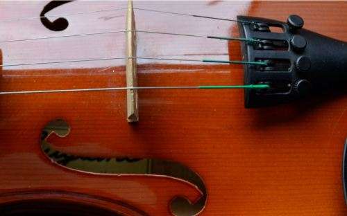 VIOLIN 4/4 from SUEZYT