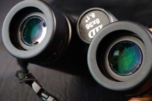 RSPB 8x36 HD 8.1 Binoculars   **Excellent Condition**
