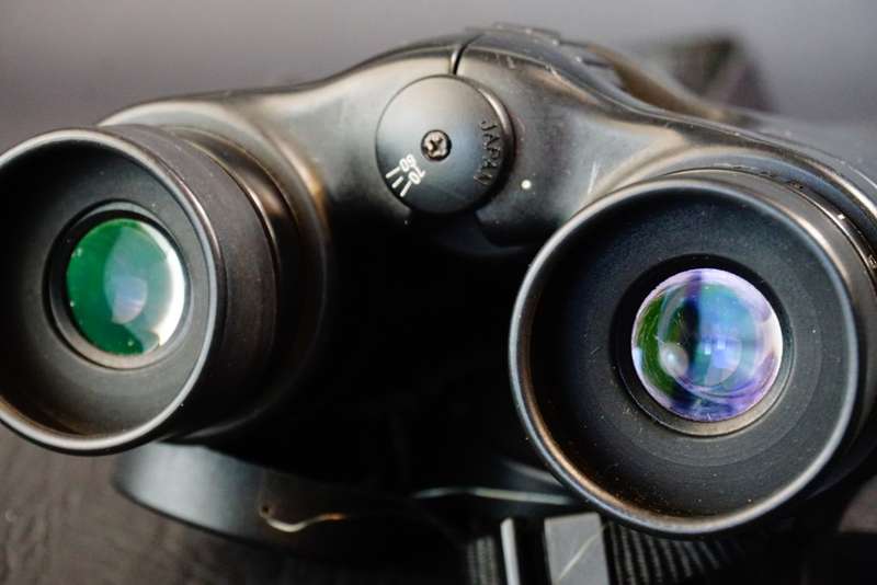 NIKON 10X42 5.4 deg binoculars **Needs Cleaning**