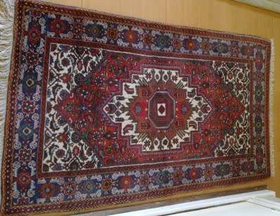 Goltog hand knotted Persian carpet / runner