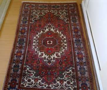 Goltog hand knotted Persian carpet / runner