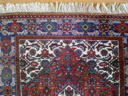 Goltog hand knotted Persian carpet / runner