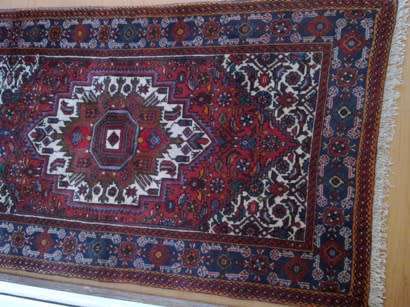 Goltog hand knotted Persian carpet / runner