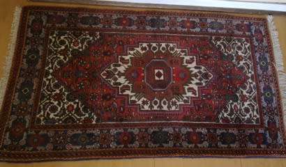 Goltog hand knotted Persian carpet / runner