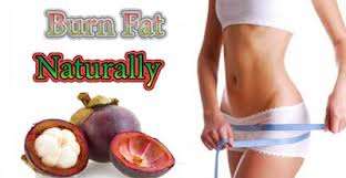 *Lose weight with Garcinia Cambogia Granules* 2 Bottles!!!